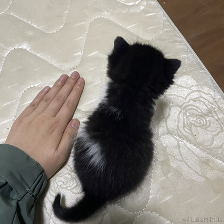 你说这是为什么于2023-05-14 13:15发布的图片