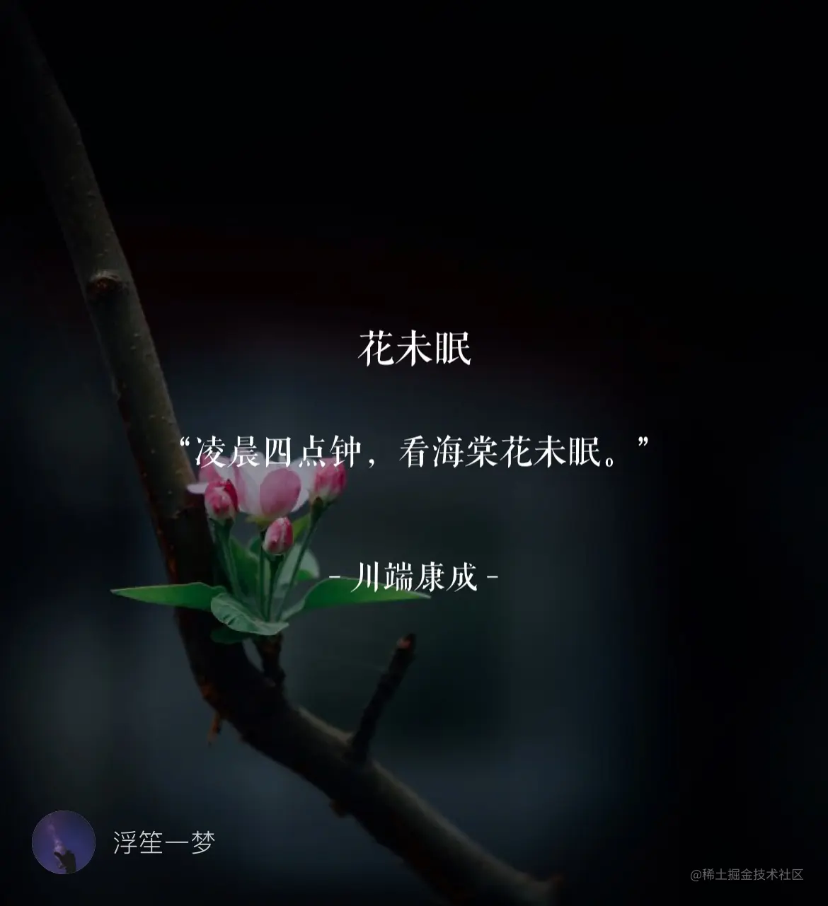 IMG_1709.jpeg