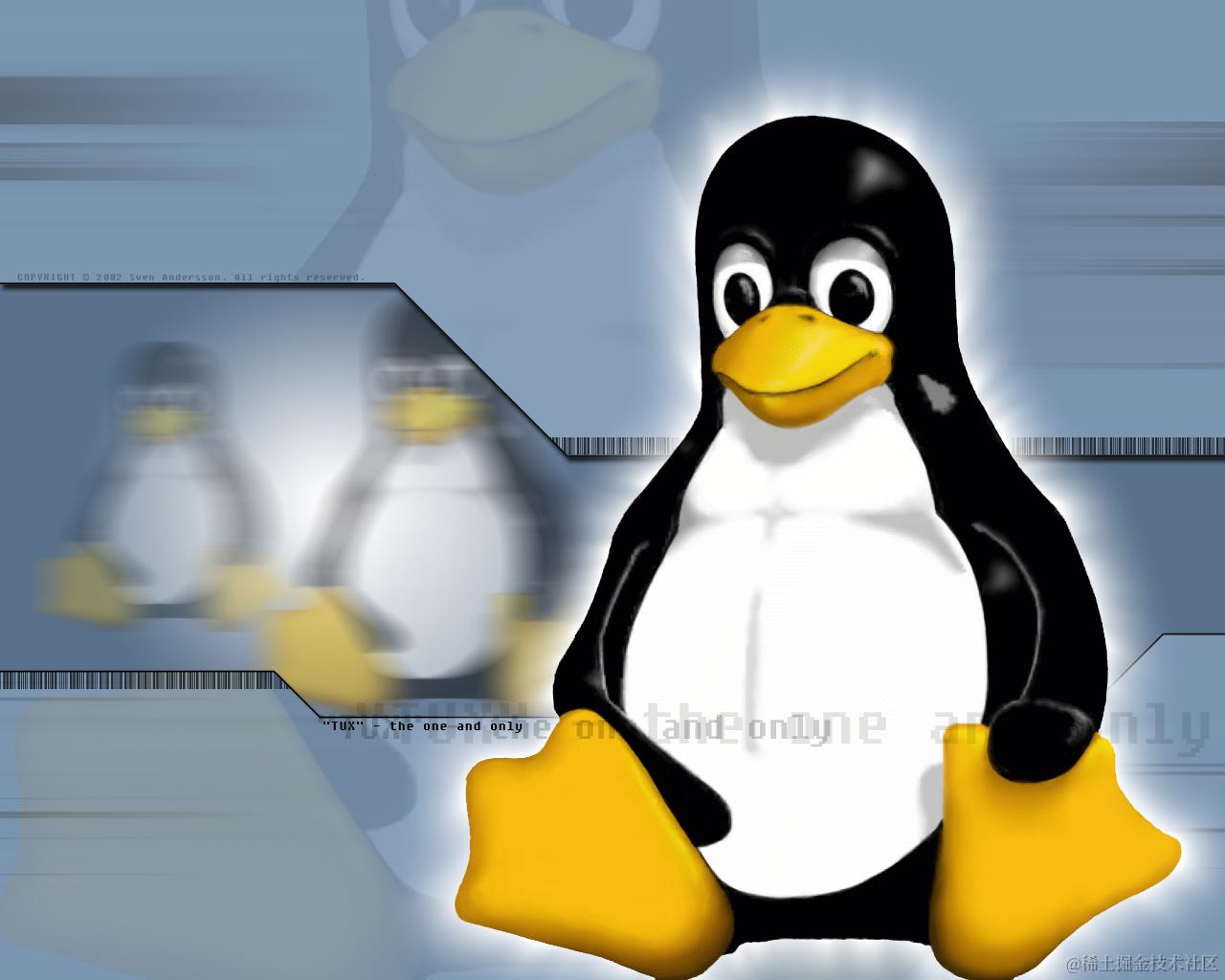 LINUX