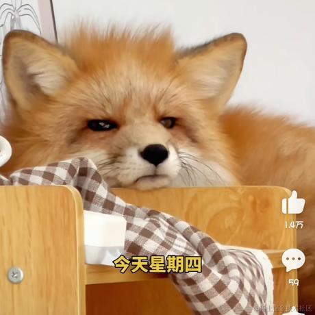 安小西同学于2022-12-09 07:12发布的图片