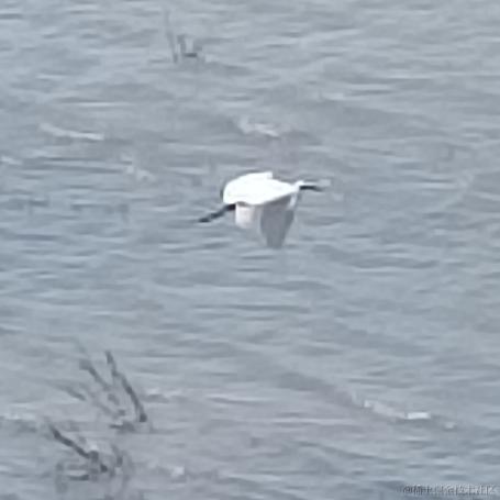 风的温度于2023-07-05 14:35发布的图片