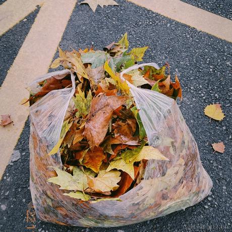 幽箬筱于2022-11-13 11:34发布的图片