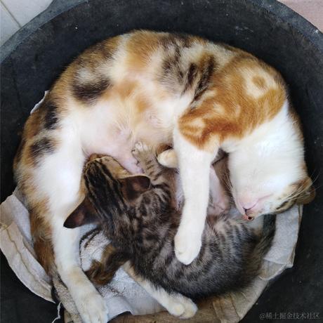 大鹏鹏于2022-12-23 13:28发布的图片