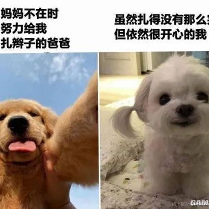 泻药本药于2022-12-08 07:54发布的图片