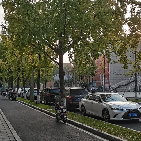 一颗贝极星于2022-11-14 16:58发布的图片