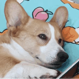 Utterance02于2022-12-27 10:38发布的图片