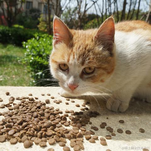 高买低卖艺术家于2023-04-02 20:25发布的图片