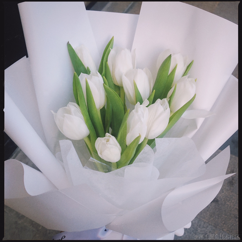 皮皮皮皮皮喵于2021-08-26 11:28发布的图片