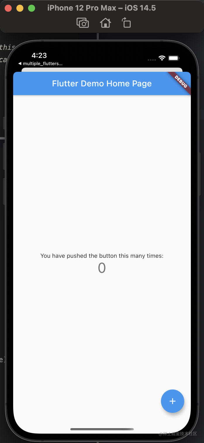 Add a Flutter Module to a native project (single Flutter instance ...