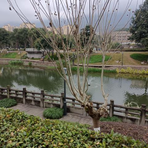 黑了要关门于2022-12-01 12:07发布的图片