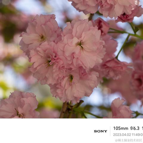 北冥有你于2023-04-04 08:54发布的图片