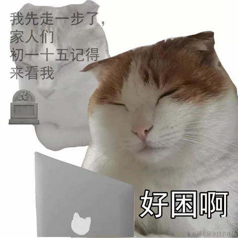 皮皮皮皮皮喵于2022-11-09 02:02发布的图片