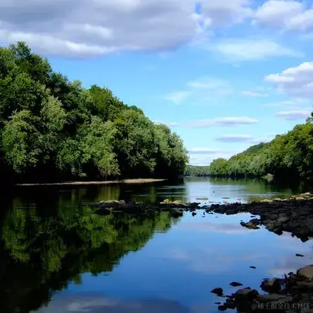 森林里的麋鹿于2021-04-24 10:48发布的图片