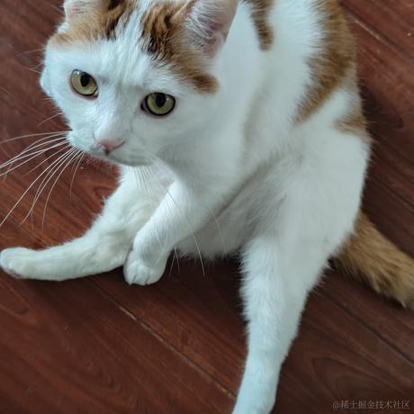 幻灵尔依于2020-08-21 18:20发布的图片