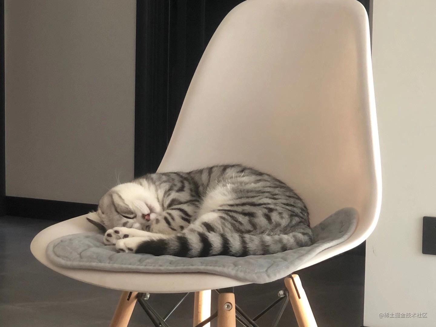 小白初识shell脚本