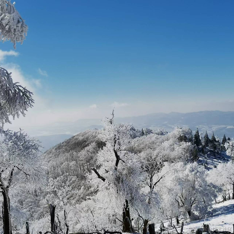 Sorin_joe于2022-11-13 17:29发布的图片