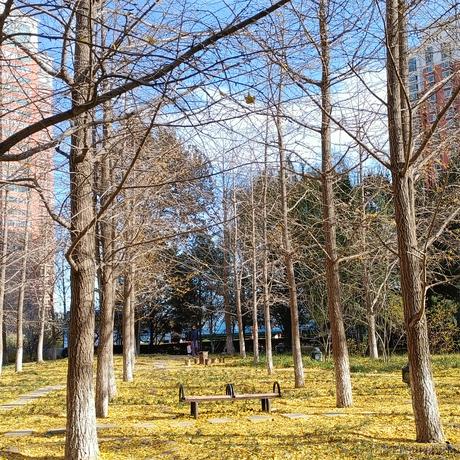 俄里翁于2023-12-06 14:15发布的图片