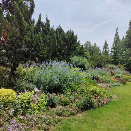 吃鱼徐于2023-06-05 20:19发布的图片