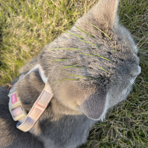 Erie于2021-11-28 08:56发布的图片