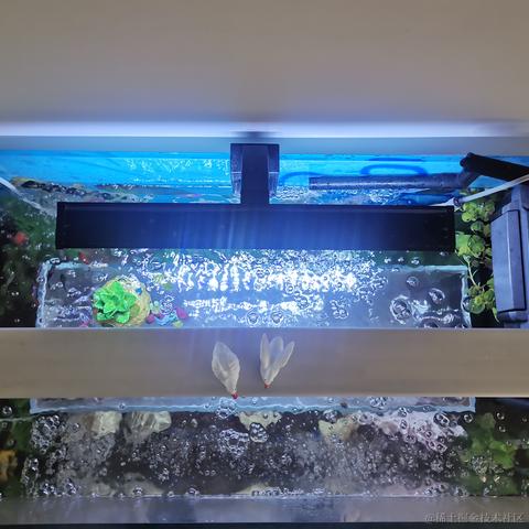 人性本恶于2023-11-27 08:56发布的图片