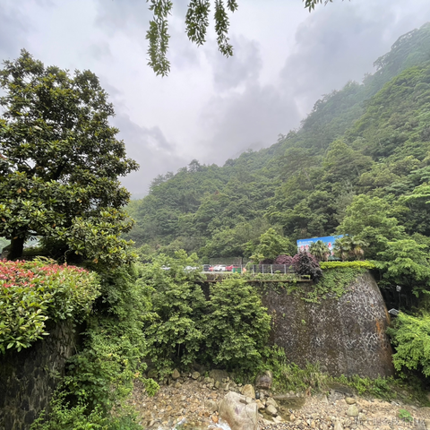 Ylimhs于2023-05-29 08:36发布的图片