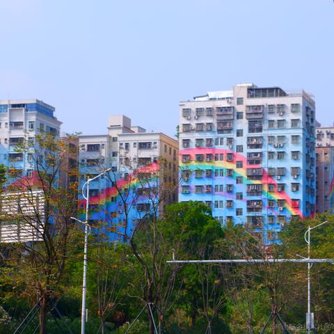 默一嗷于2023-03-05 17:21发布的图片