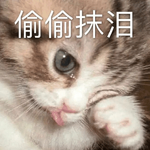 梦魇3527于2022-11-03 08:37发布的图片