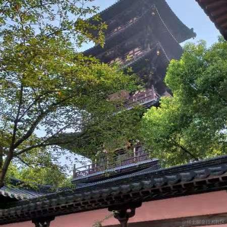 ma77于2023-08-16 09:44发布的图片
