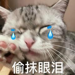 四五六九于2023-04-13 20:15发布的图片