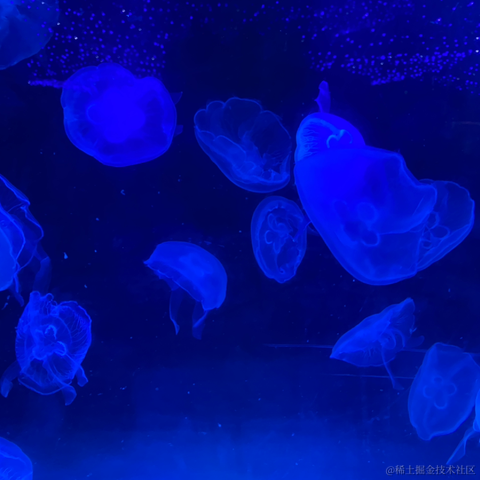 库洛米于2023-03-19 22:32发布的图片