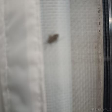 风的温度于2023-06-26 20:11发布的图片