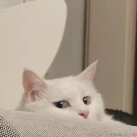 路有冻死狗于2021-10-27 19:03发布的图片