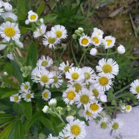 用户6550757333044于2022-05-12 23:03发布的图片