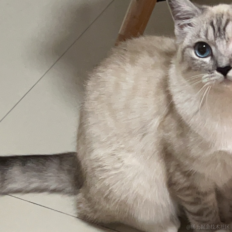 llight于2023-04-16 18:04发布的图片