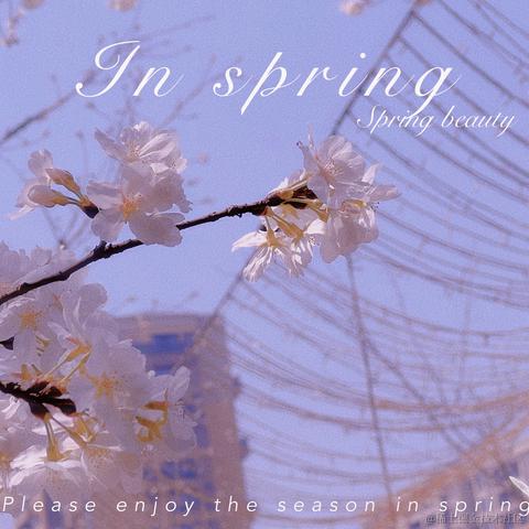 Java工程狮于2022-03-18 11:18发布的图片