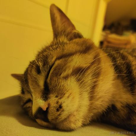 苏菲于2022-04-22 23:44发布的图片