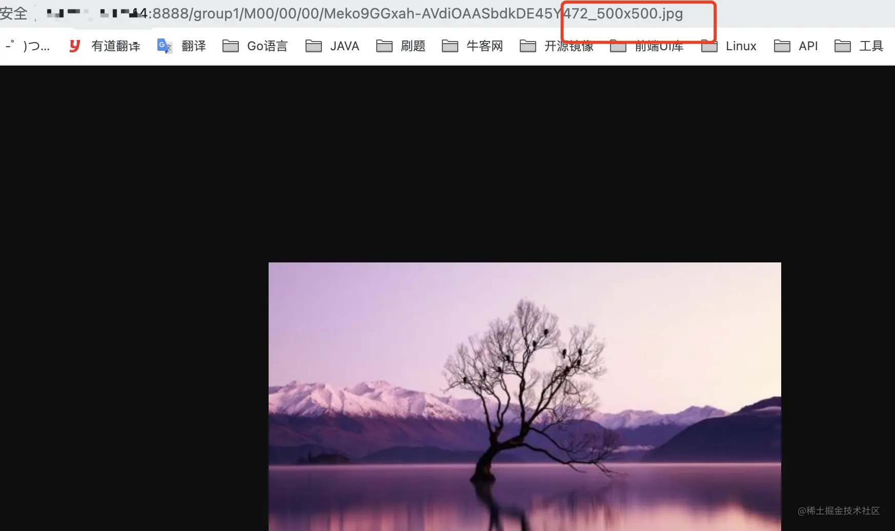 image-20211209105948515.png