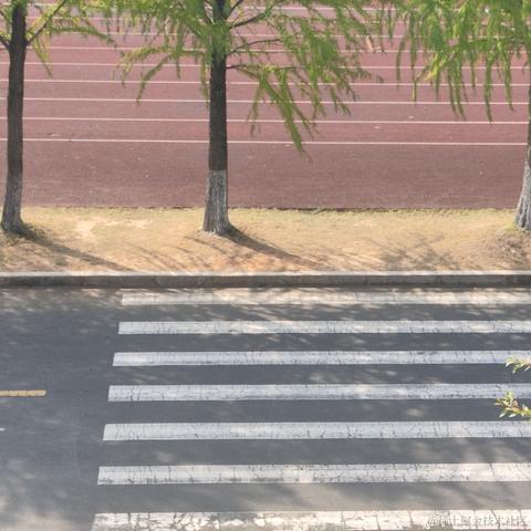 灵小猫于2022-11-11 13:05发布的图片