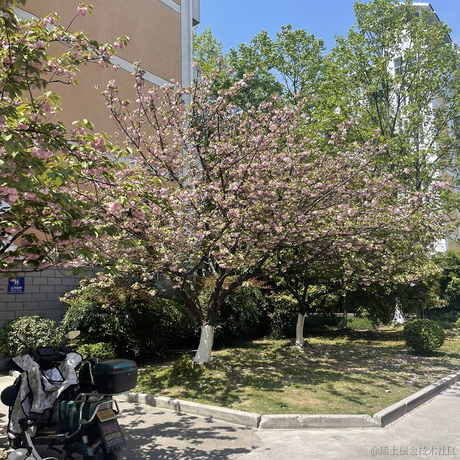 P3rf3ctW0maN于2023-04-17 19:18发布的图片