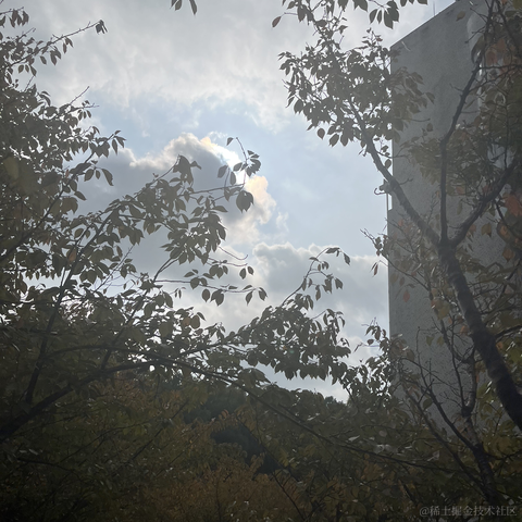 绝对琳先于2022-11-19 23:23发布的图片