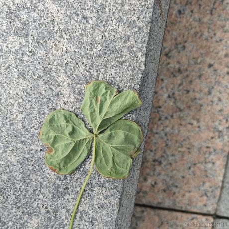 尼古拉斯阿柴于2023-06-06 20:40发布的图片