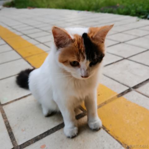 Yj家的孺子牛于2022-11-19 23:46发布的图片
