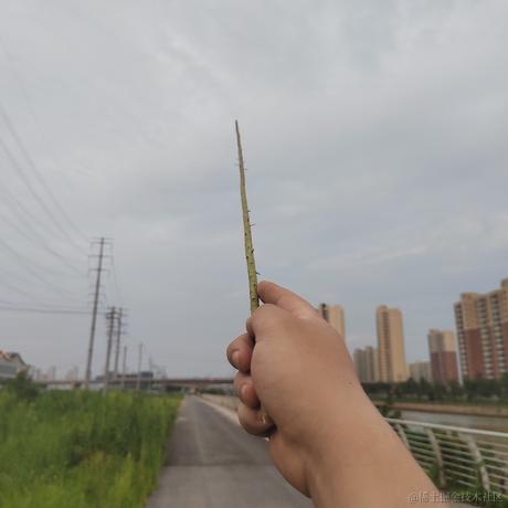挂机去流浪于2023-07-14 18:55发布的图片