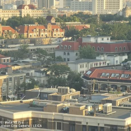 戴安娜小姐的狗于2023-06-21 18:54发布的图片