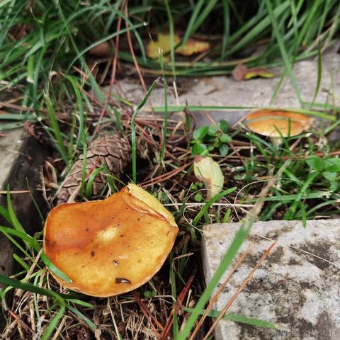 你好我就要起飞了于2021-10-10 13:57发布的图片