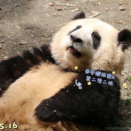 Ricardo_M_Eric于2023-06-07 08:33发布的图片