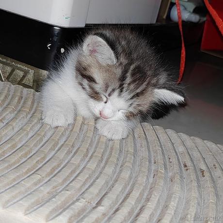 王木拉于2023-06-29 08:40发布的图片