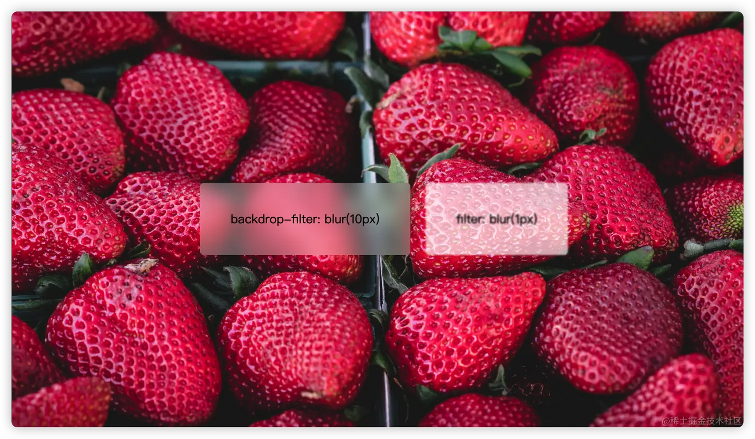 背景图源: https://picsum.photos/