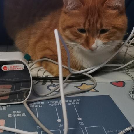 柒弎于2022-11-20 19:12发布的图片