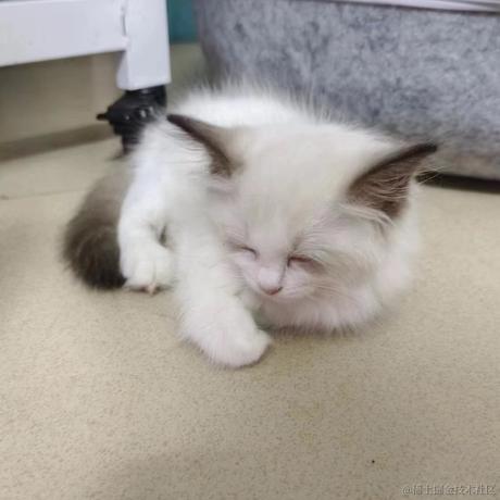 努力赚钱养猫猫于2024-07-10 09:28发布的图片
